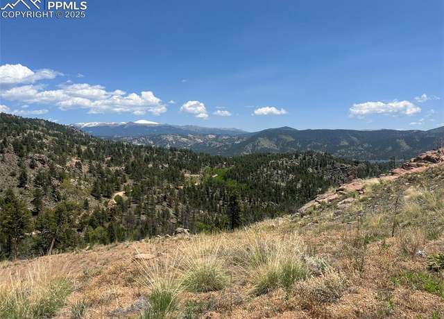 Property at 52 Chateau West Cir, Florissant, CO 80816