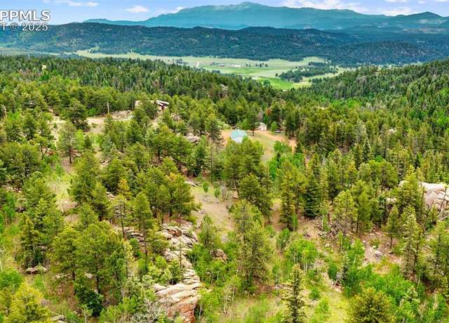Property at 94 & 146 County Road 403, Florissant, CO 80816