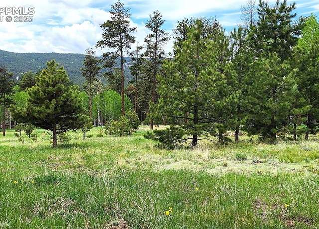 Property at 210 Bridlewood Ln, Woodland Park, CO 80863