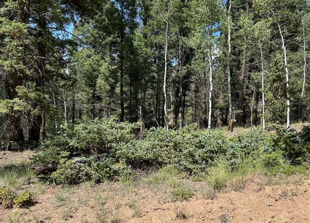 Property at 96 Insmont Ln, Florissant, CO 80816