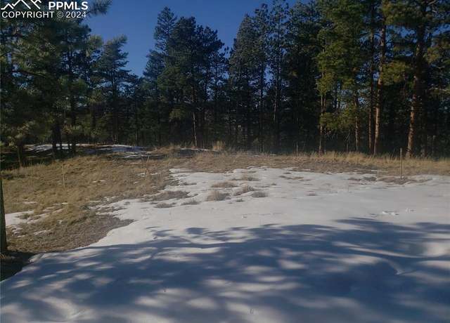 Property at 206 Eagles Perch Pl, Woodland Park, CO 80863