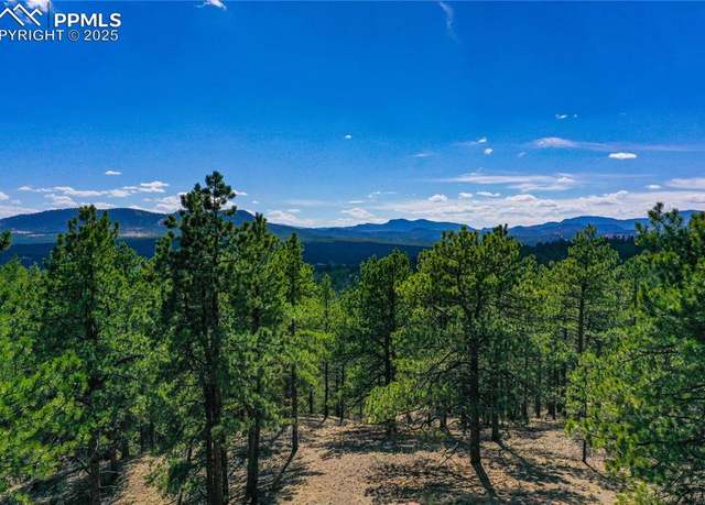 Property at 994 Pikes Peak Dr, Florissant, CO 80816