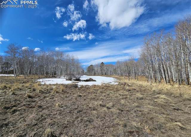 Property at 417 Aspen Way St, Florissant, CO 80816