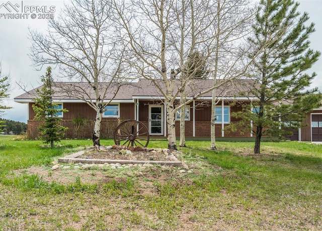 Property at 65 Yeoman Ln, Divide, CO 80814, 3 beds, 2 baths