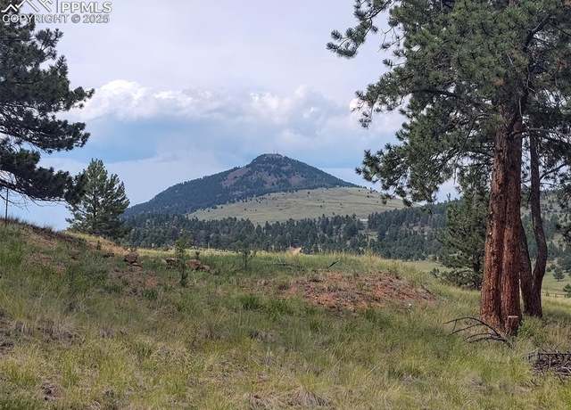 Property at 220 Reed Cir, Cripple Creek, CO 80816