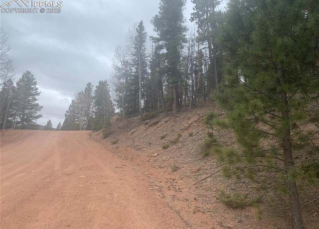 Property at 243 Andes Rd, Cripple Creek, CO 80813