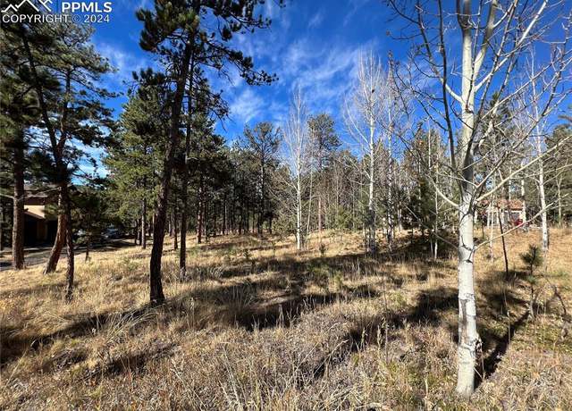Property at 650 Pembrook Dr, Woodland Park, CO 80863