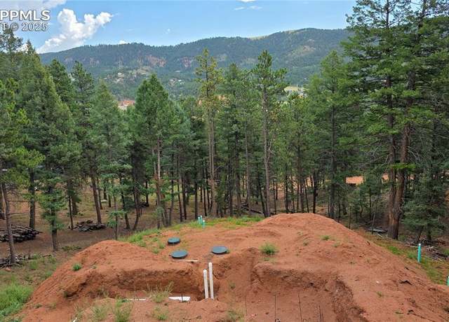Property at 370 Summer Haven Dr, Woodland Park, CO 80863