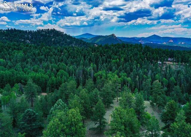 Property at 525 Spring Valley Ln, Florissant, CO 80816