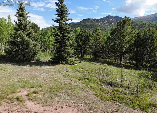 Property at 12775 S Highway 67, Cripple Creek, CO 80813