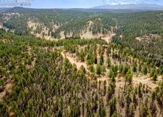 Property at 93 Kiowa Creek Trl, Florissant, CO 80816