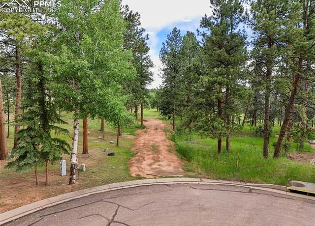 Property at 220 Wildrose Ct, Woodland Park, CO 80863