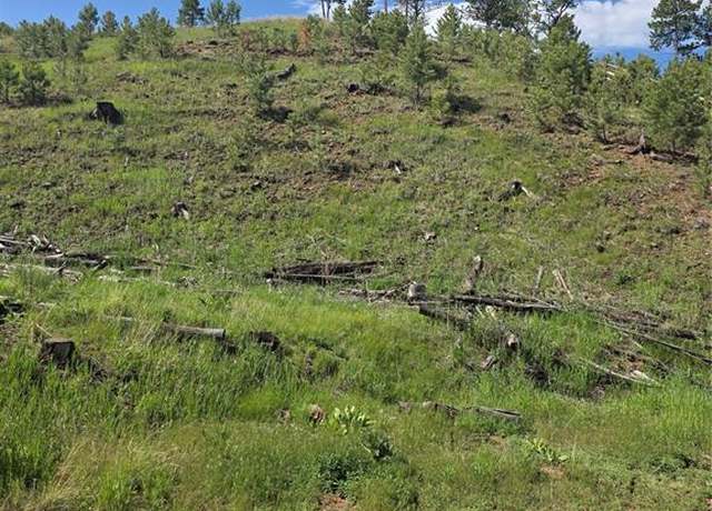 Property at 14874 Evergreen Pl, Woodland Park, CO 80863