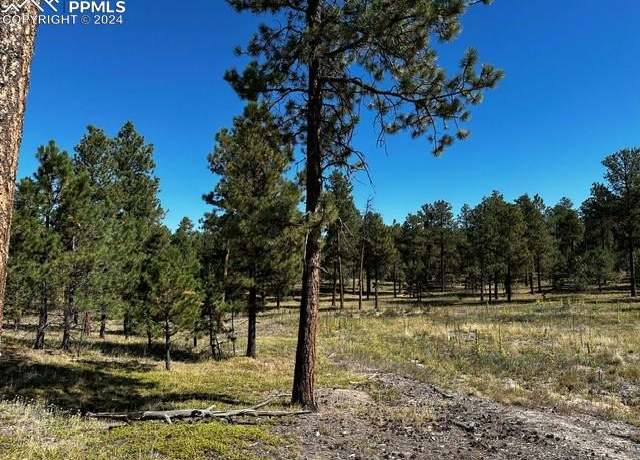 Property at 14681 Quartz Creek Dr, Colorado Springs, CO 80908