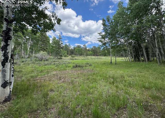 Property at 117 Vagabond Creek Ter, Lake George, CO 80827
