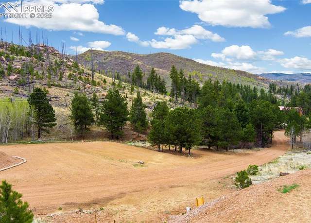 Property at 13990 S Highway 67, Woodland Park, CO 80863