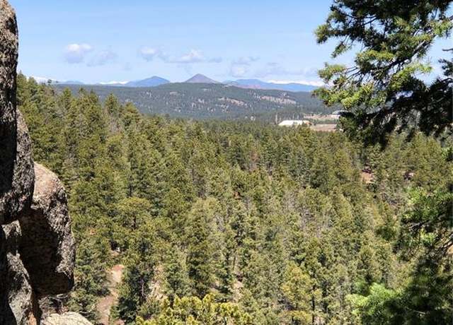 Property at 213 Osoeola Rd, Woodland Park, CO 80863