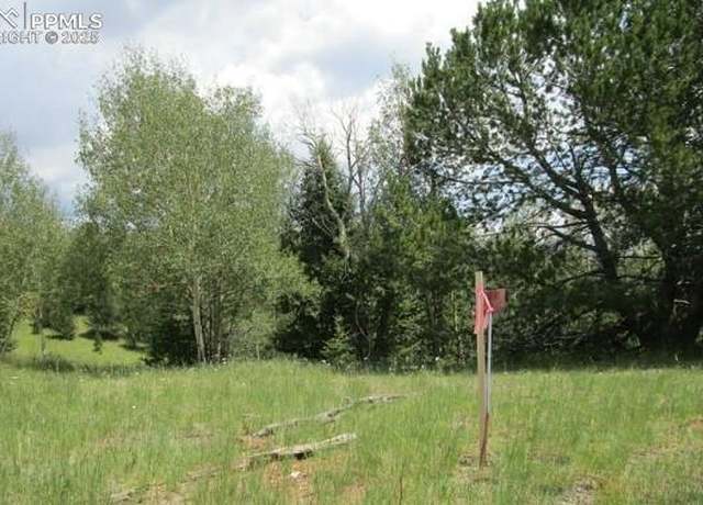 Property at 1196 Wellington Dr, Cripple Creek, CO 80813