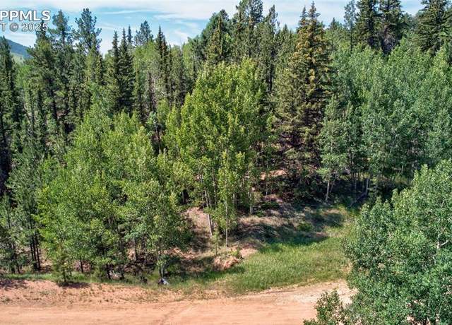 Property at 158 Rattler Ct, Cripple Creek, CO 80813