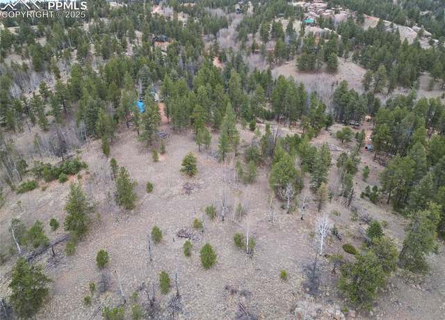 Property at 475 Pinon Ln, Florissant, CO 80816