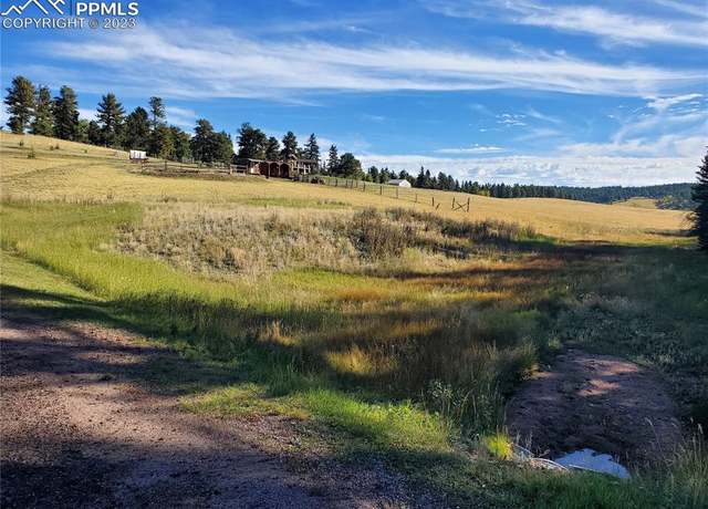 Property at 309 Pinaceae Hts, Divide, CO 80814