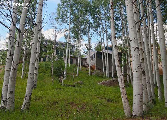 Property at 75 Pitchblende Rd, Florissant, CO 80816, 3 beds, 3 baths