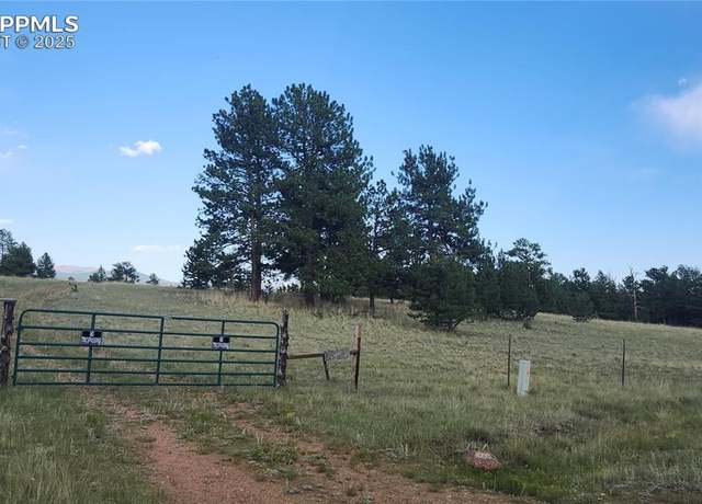Property at 101 B1 Ring Rd, Guffey, CO 80820