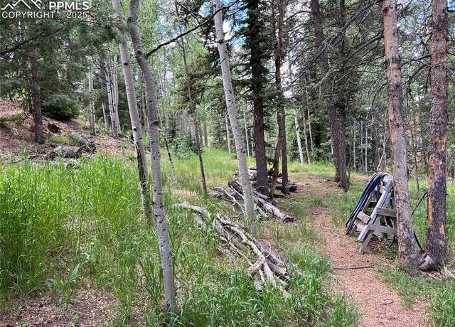 Property at 70 Cradle Lake Pl, Divide, CO 80814, 3 beds, 2 baths
