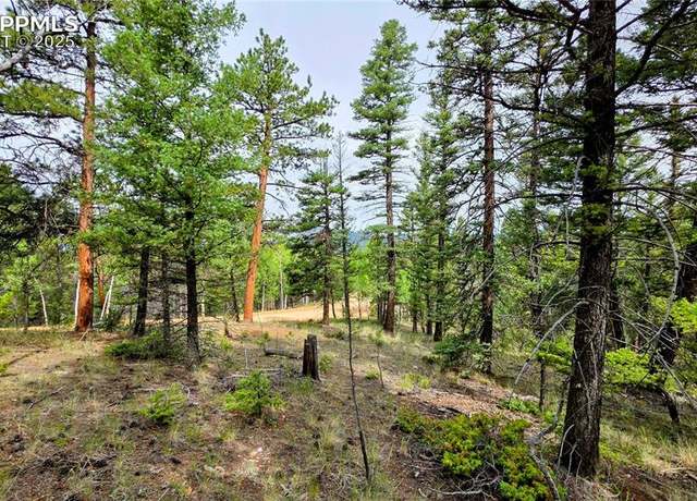 Property at 223 Shavano Creek Trl, Florissant, CO 80816