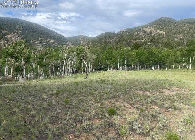 Property at 171 Emerald Way, Lake George, CO 80827