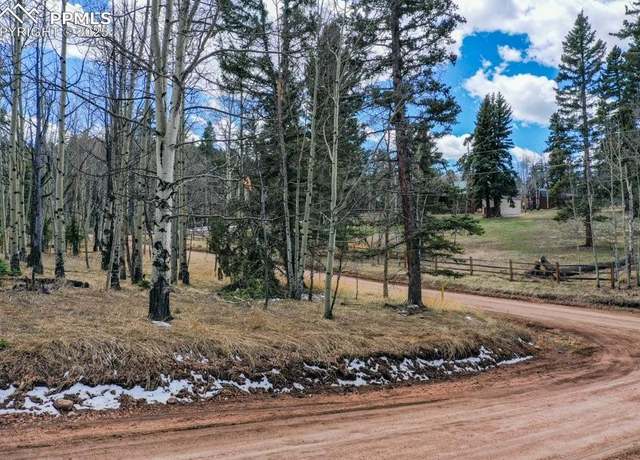 Property at 90 Maid Marian Dr, Divide, CO 80814
