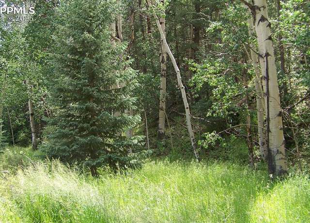 Property at 19 Princess Rd, Cripple Creek, CO 80813