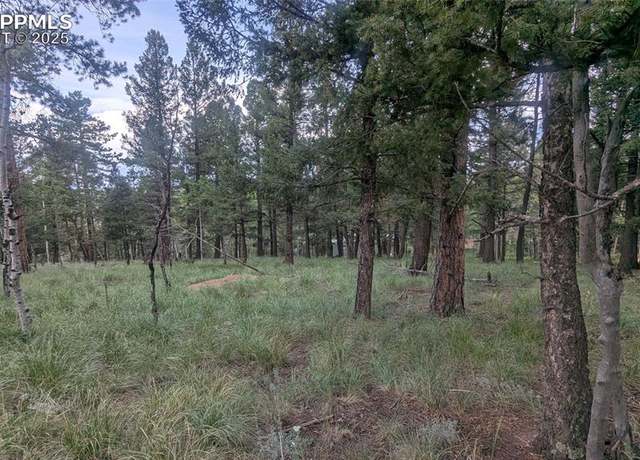 Property at 924 Will Scarlet Dr, Divide, CO 80814