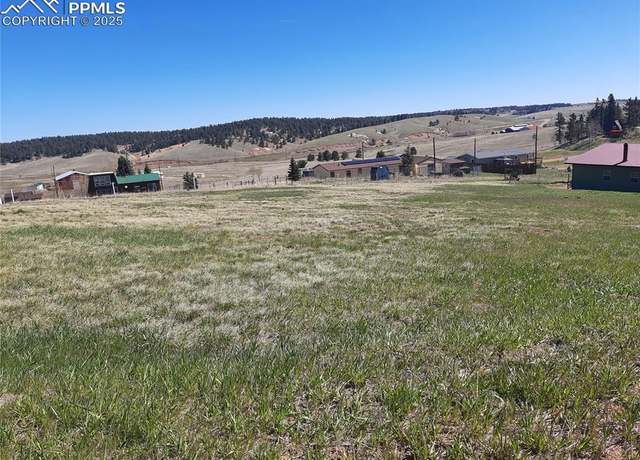 Property at 149 Will Scarlet Dr, Divide, CO 80814
