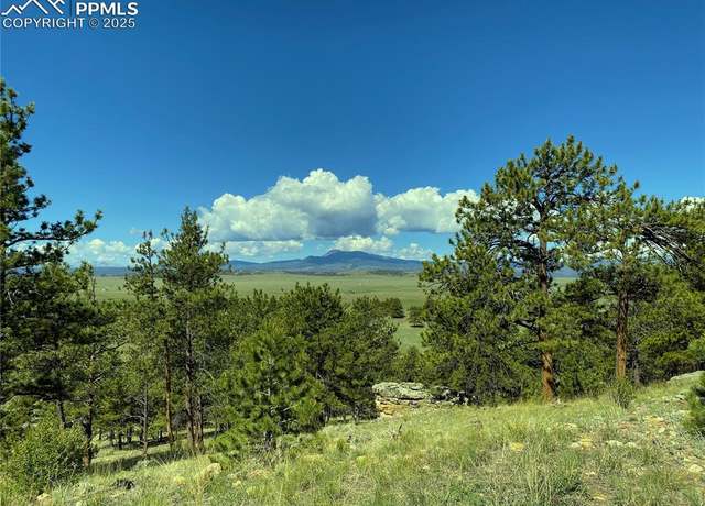Property at 31180 Highway 9, Hartsel, CO 80449