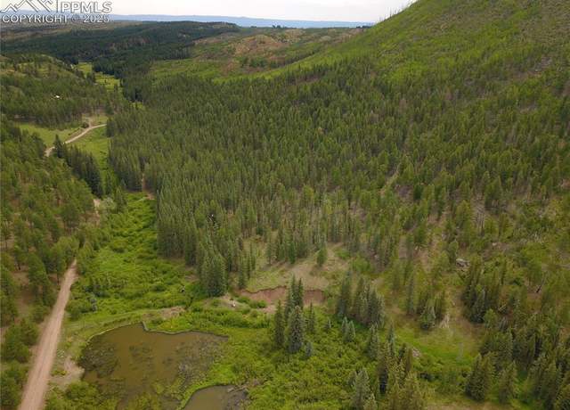 Property at 10223 Trail Creek Rd, Florissant, CO 80816