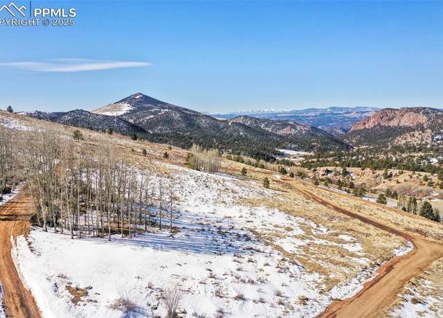 Property at 306 Troy Way, Cripple Creek, CO 80813