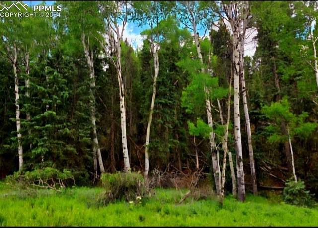 Property at 524 Spring Valley Ln, Florissant, CO 80816