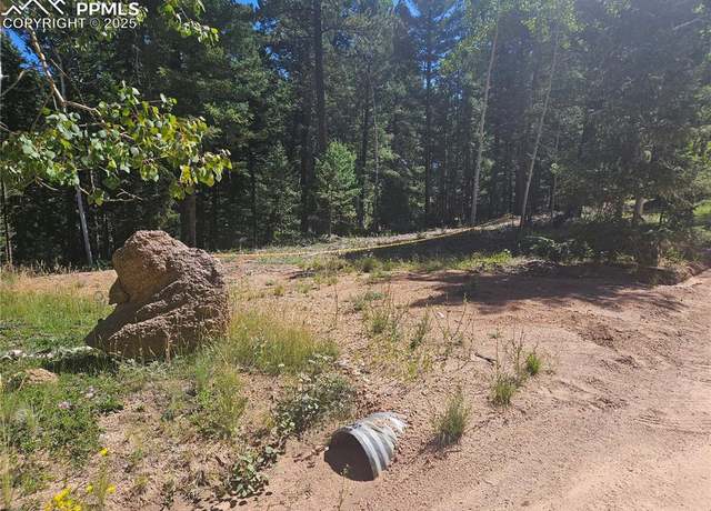 Property at 2701 N Mountain Estates Rd, Florissant, CO 80816