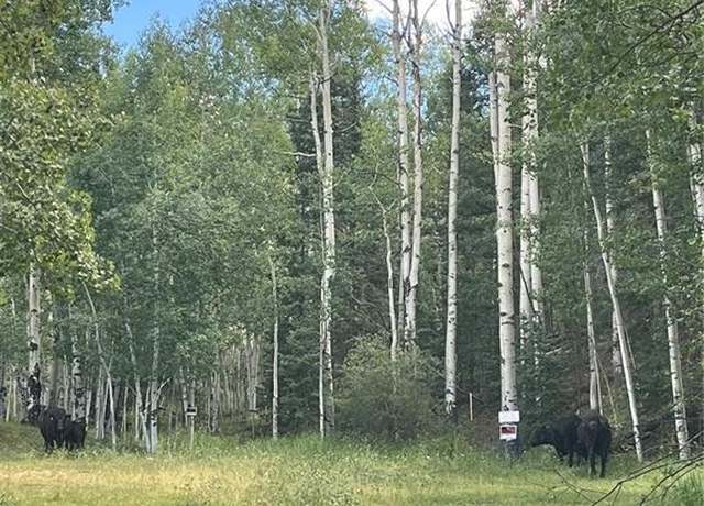 Property at 48 Vivenda Way, Cripple Creek, CO 80813