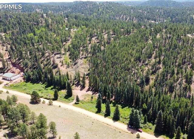 Property at 1570 Pathfinder Rd, Florissant, CO 80816