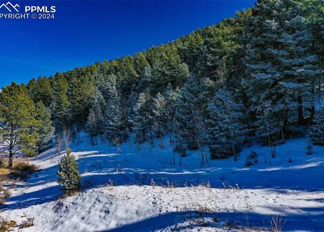 Property at 278 Penrose Cir, Cripple Creek, CO 80816