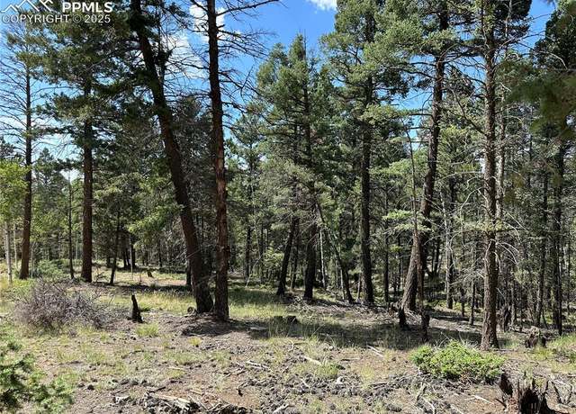 Property at 671 Pinewood Rd, Florissant, CO 80816