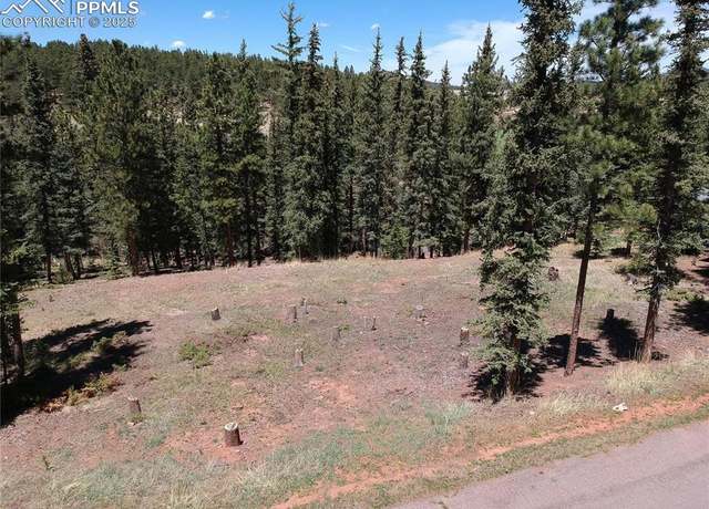 Property at 220 Iron Eagle Pt, Woodland Park, CO 80863