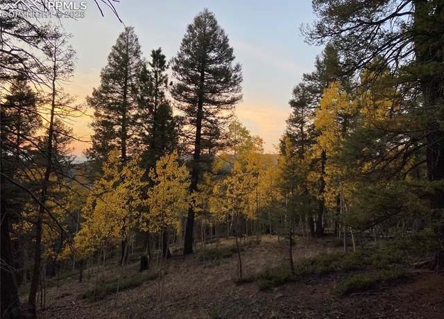 Property at 835 Bennett Dr, Cripple Creek, CO 80813