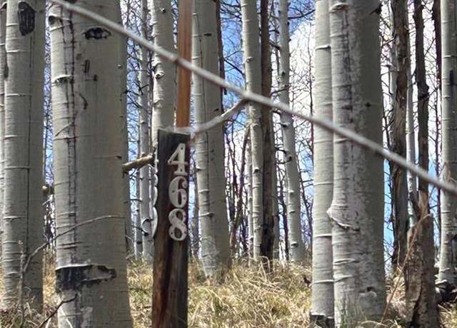 Property at 178 Summit Rd, Lake George, CO 80827