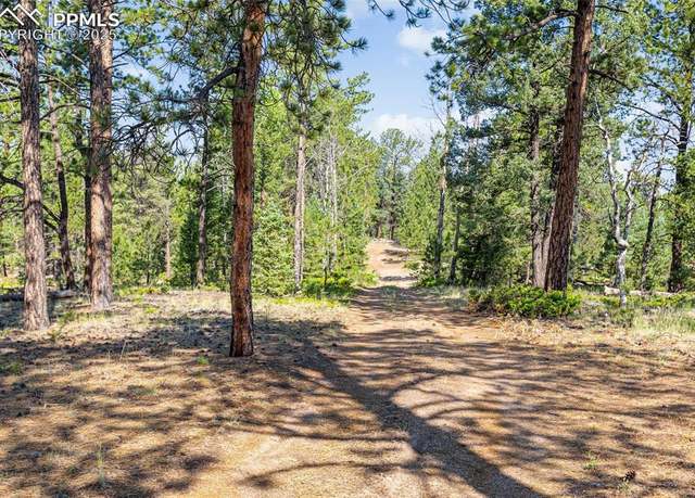 Property at 464 Hidden Pt, Florissant, CO 80816