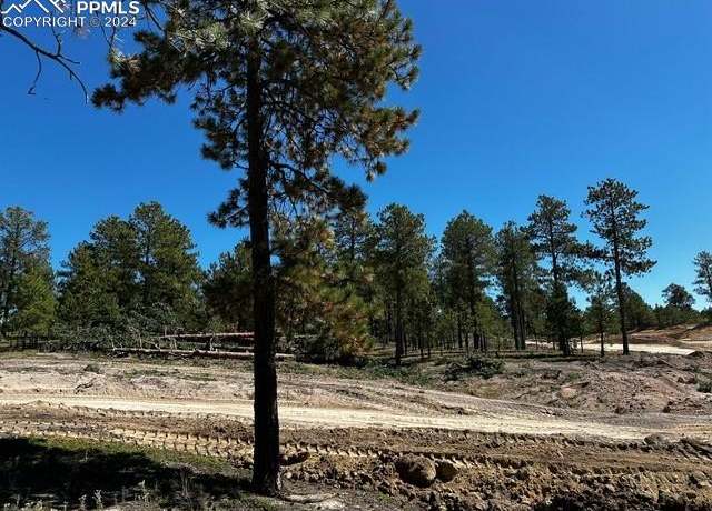 Property at 14432 Quartz Creek Dr, Colorado Springs, CO 80908