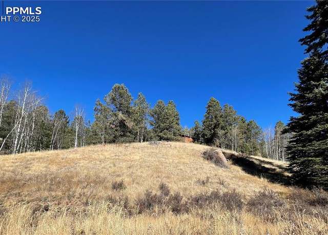 Property at 3090 N Mountain Estates Rd, Florissant, CO 80816
