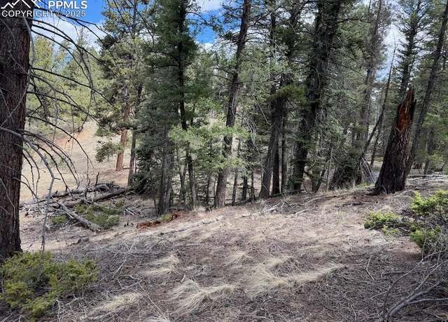 Property at 472 Pinewood Rd, Florissant, CO 80816